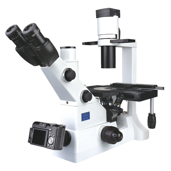  XD-202倒置生物显微镜